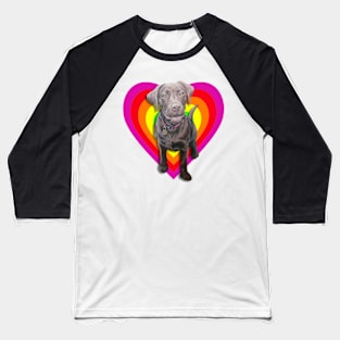 Gorgeous chocolate labrador in a rainbow digital heart! Baseball T-Shirt